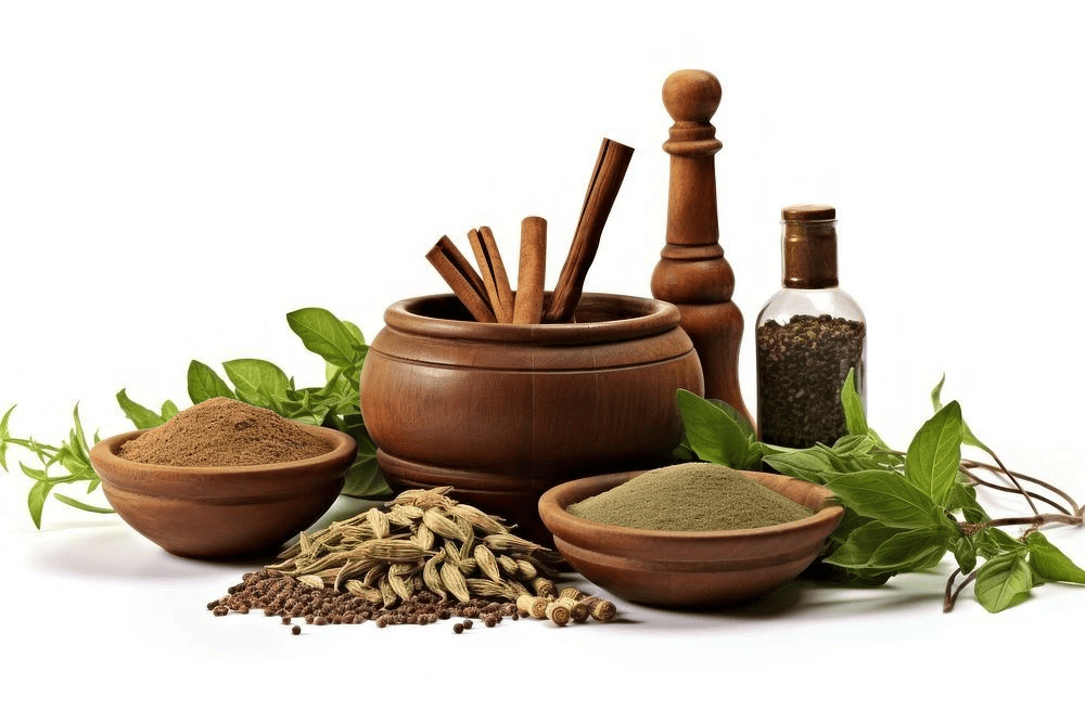 Ayurveda Marketing Agency Noida